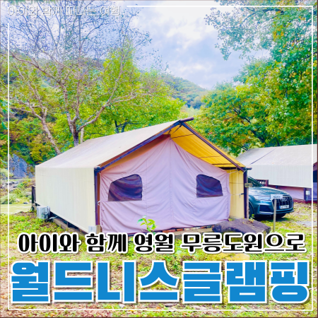  강원도글램핑 키즈카페같은 월드니스