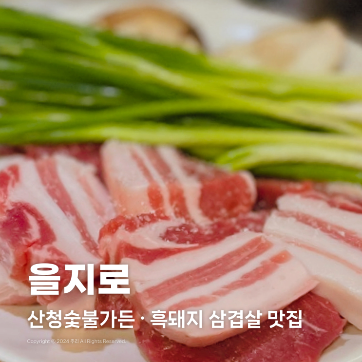  을지로 산청숯불가든 삼겹살 고기맛집 두 번째 방문 후기