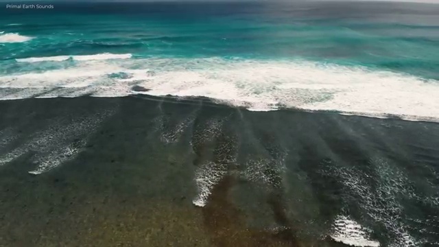  병원코디네이터 자격증 조회 , 병원코디네이터 자격증 20일 만에 시험준비 공유드려요
