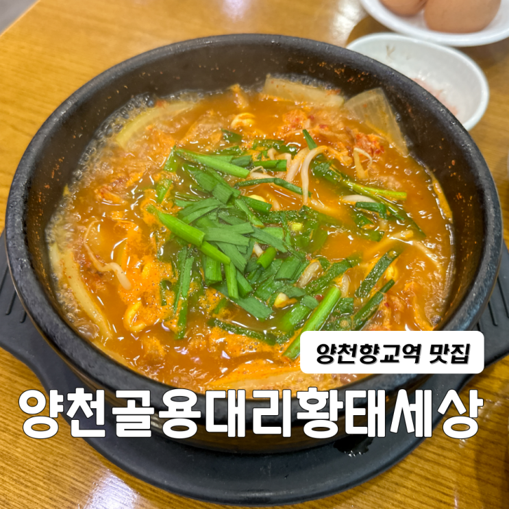  양천구 양천향교역 맛집 양천골용대리황태세상 해장국 내돈내산