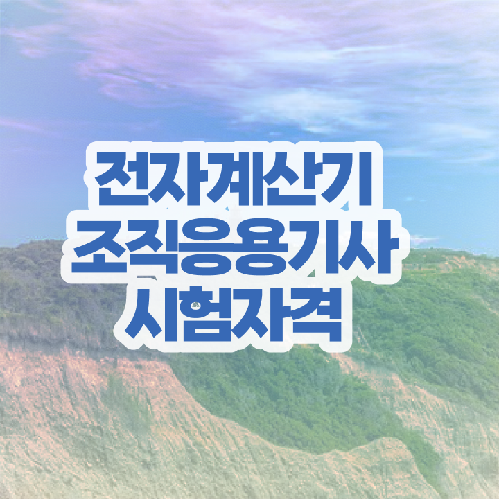  전자계산기조직응용기사 응시조건 온라인으로 빠르게 준비한 후기