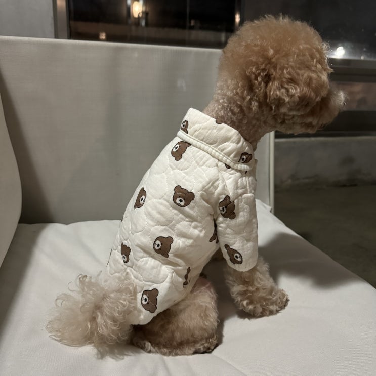  리니몽 곰돌이자켓
