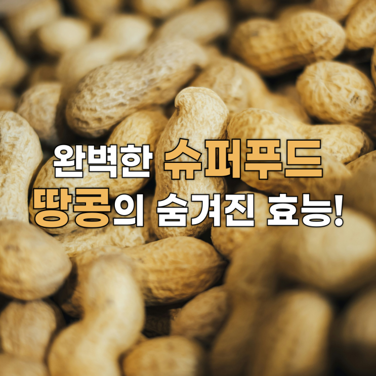  완벽한 슈퍼푸드 땅콩의 숨겨진 효능! 두뇌 건강, 다이어트, 당뇨 관리까지