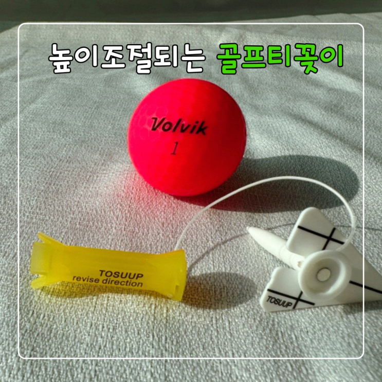  골프티꽂이 WPG GOLF 높이조절티로 바꾸고 이글 성공