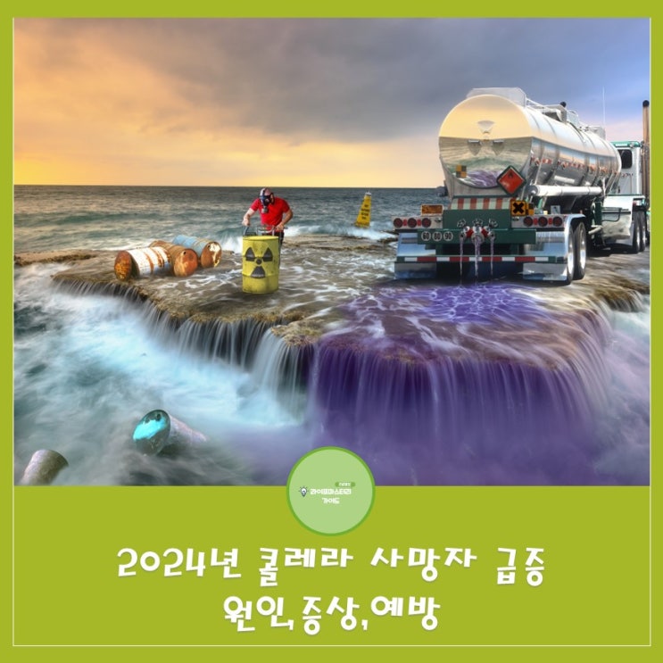  WHO 보고서: 2024년 콜레라, 30개국에서 발병 전년비 126% 사망자 증가| 콜레라 원인, 증상, 예방