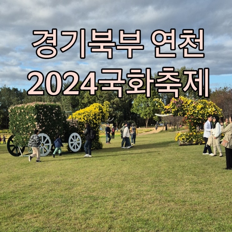  경기북부가볼만한곳 아이와 2024연천국화축제 입장료 주차정보!!