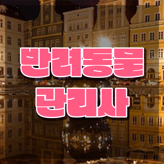  반려동물목욕관리사 , 반려동물관리사 자격증 취득했던 후기 요약