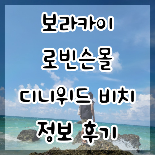  보라카이 로빈슨몰 디니위드 비치 정보 후기