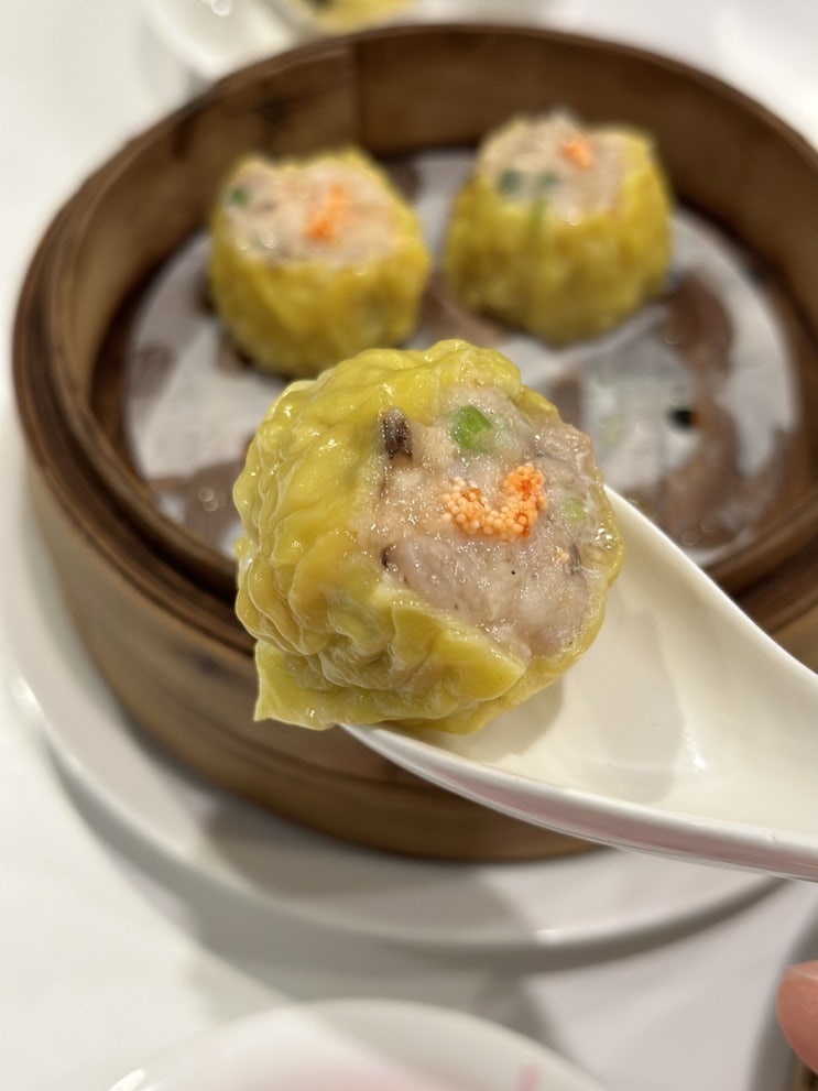  신림 딤섬맛집 남향티하우스 처음 먹어보는 딤섬 솔직후기