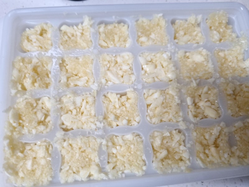 다이소 소분용기 리뷰 간마늘 냉동보관에 딱 맞는 제품