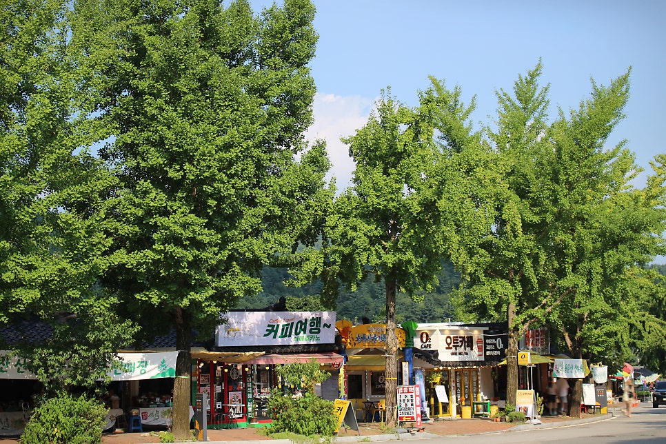 카페용문 사진 3