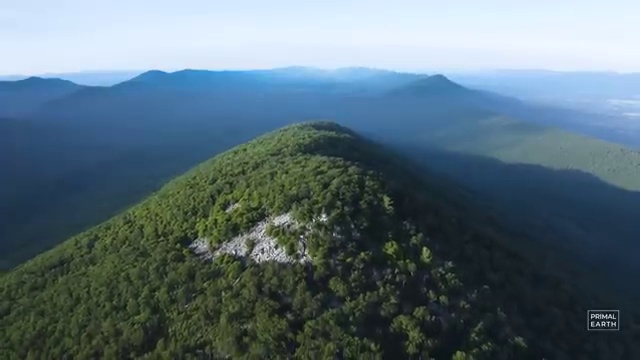  학점은행제사회복지학사 , 학점은행제 전공 관련학과 졸업장, 경력없어도 손쉽게 준비하는 꿀팁 모음