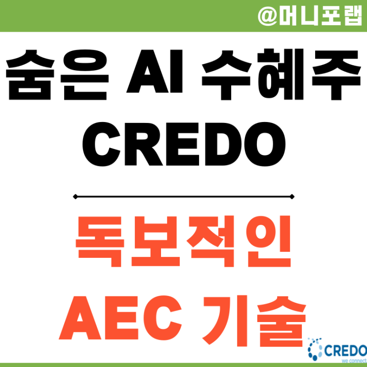  크레도 테크놀로지 (Credo, CRDO) 숨은 하이퍼스케일러 AI 수혜주 분석