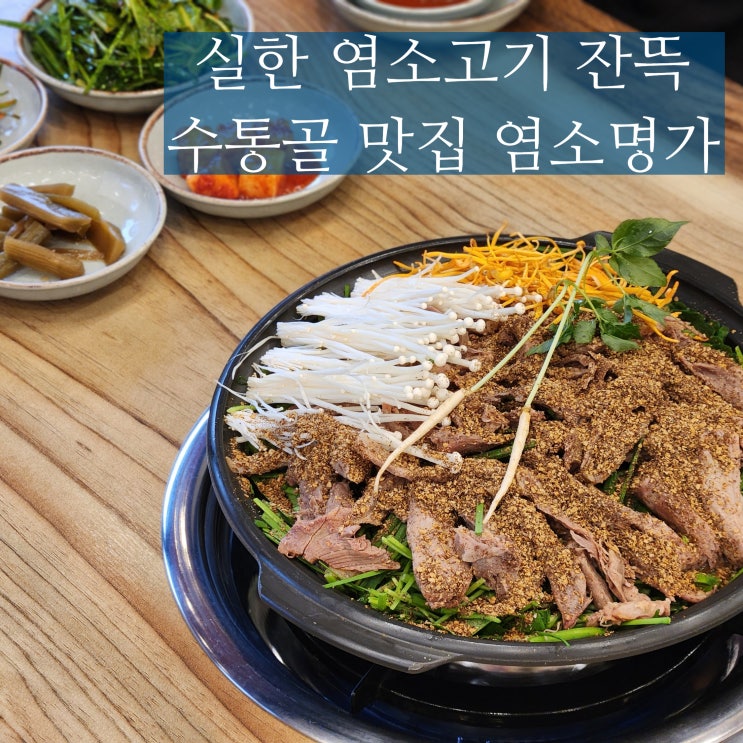  대전 수통골 맛집 염소명가 전골 보양식 기운나네