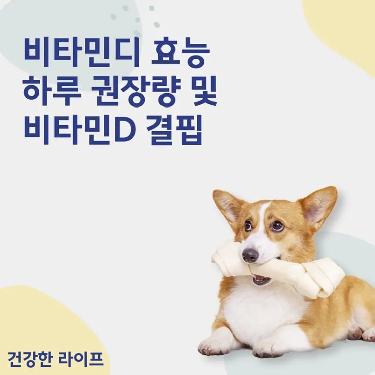  비타민디 효능, 하루 권장량 및 비타민D 결핍