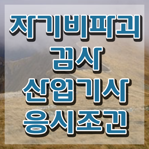  자기비파괴검사산업기사 자격 요건 자기비파괴검사산업기사 자격요건 독학으로 빠르게 준비한 방법