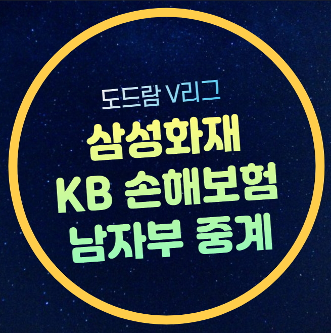 삼성화재 KB손해보험 중계 V리그 남자부 2024년 10월 22일... 