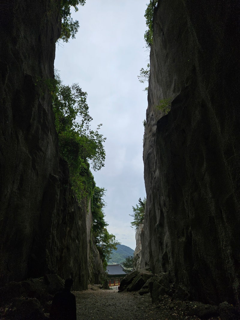 정책지식 2024.10.22. : 네이버 블로그