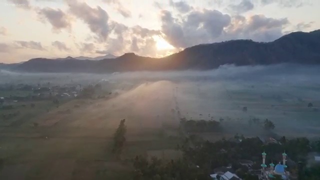  사회복지사기관 , 사회복지사 직장인도 온라인으로 편하게