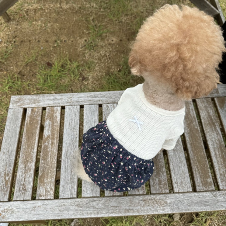  리니몽 할미 꽃내복 올인원