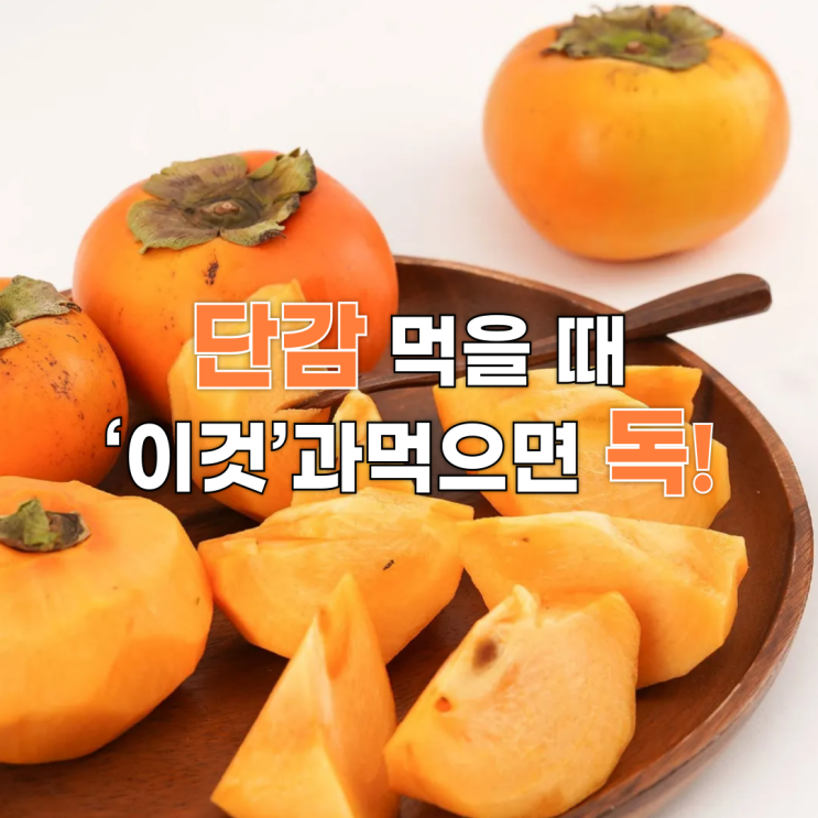  단감 먹을 때 ‘이것’과 먹으면 독! 가을철 단감 섭취 꿀팁 대공개
