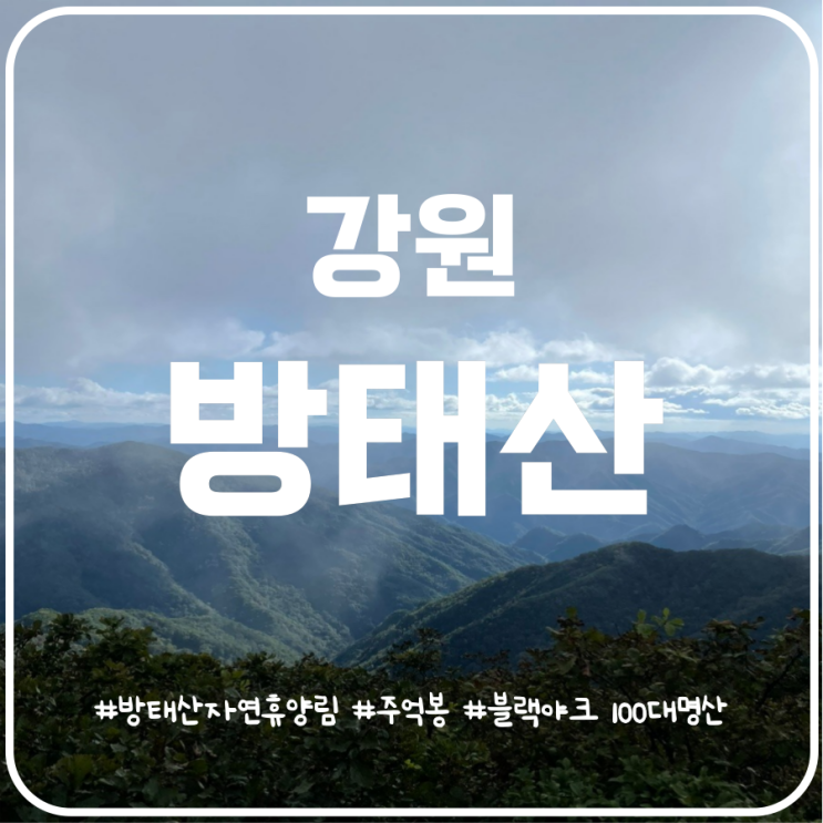 강원도 인제 방태산 최단코스 방태산자연휴양림 원점회귀 강원도 인제 방태산 최단코스 방태산자연휴양림 원점회귀