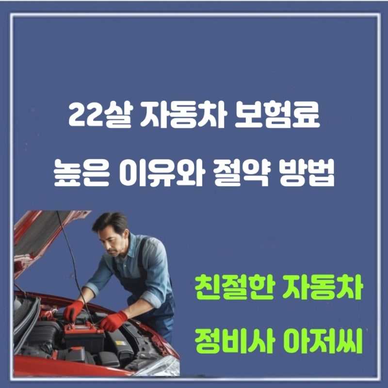 22살 자동차 보험료 높은 이유와 절약 방법