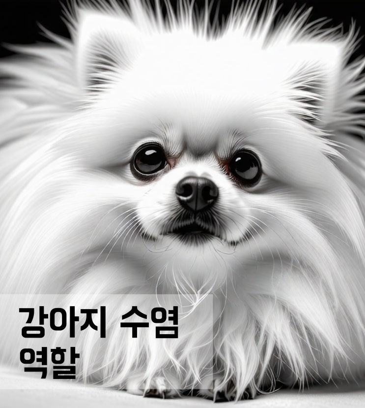  강아지 수염 역할과 기능