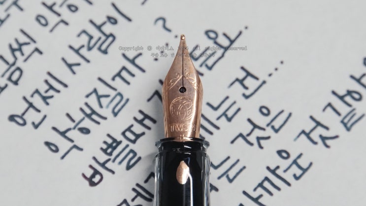  악(惡)에 가까운 것 (트위스비 에코 M닙 만년필로 필사하기)
