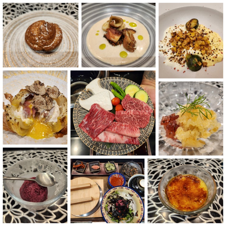  세종 한우 오마카세 우주 데이트하기 좋은 파인다이닝 코스요리