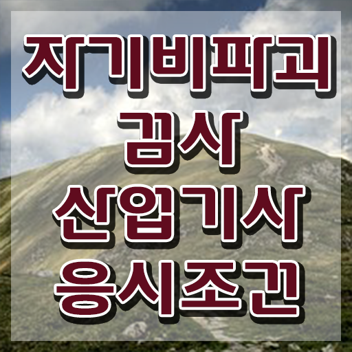  자기비파괴검사산업기사 필기 접수기준 자기비파괴검사산업기사 응시조건 온라인 과정으로 간편하게 성공한 전략