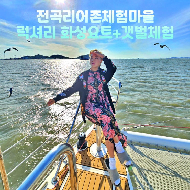  경기도 화성 가볼만한곳 전곡리 어촌체험마을 전곡항 요트 투어 체험 서해갯벌체험장