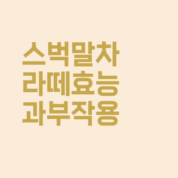  스벅 제주 말차 라떼 마시면 기대되는 말차 효능 총정리