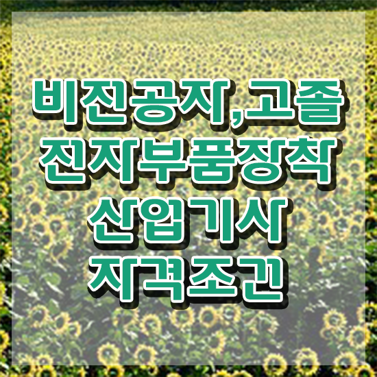  전자부품장착산업기사 시험응시자격 인강만 듣고 편하게 성공한 전략