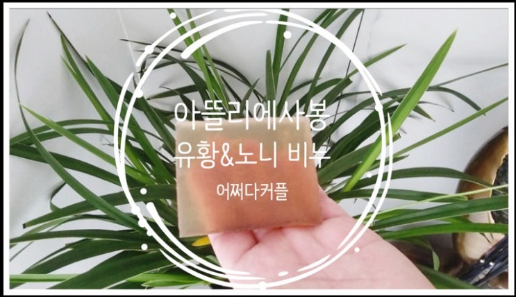  환절기 필수템 아뜰리에사봉 유황비누 노니 비누로 피부 관리는 요즘