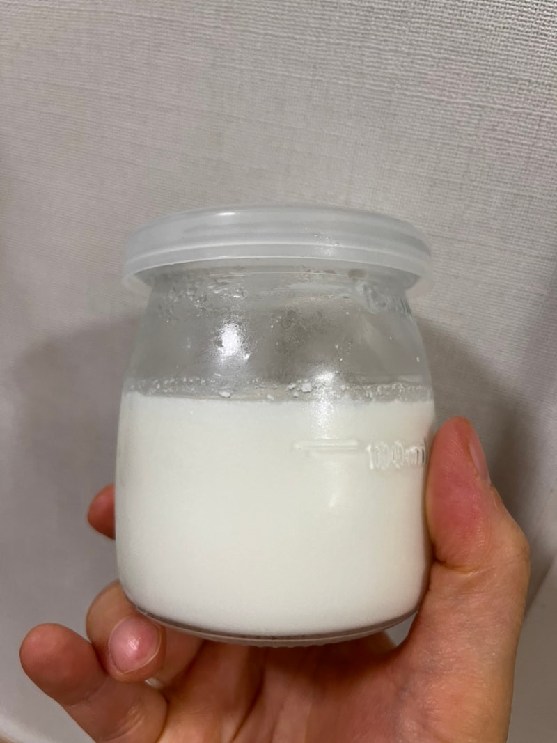 락토프리 소화가 잘되는 우유로 요거트 만들기 성공?