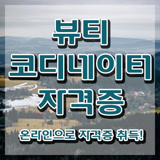  스타일리스트자격증 , 뷰티코디네이터 자격증 1급,2급 동시에 취득한 정보 알아볼까요