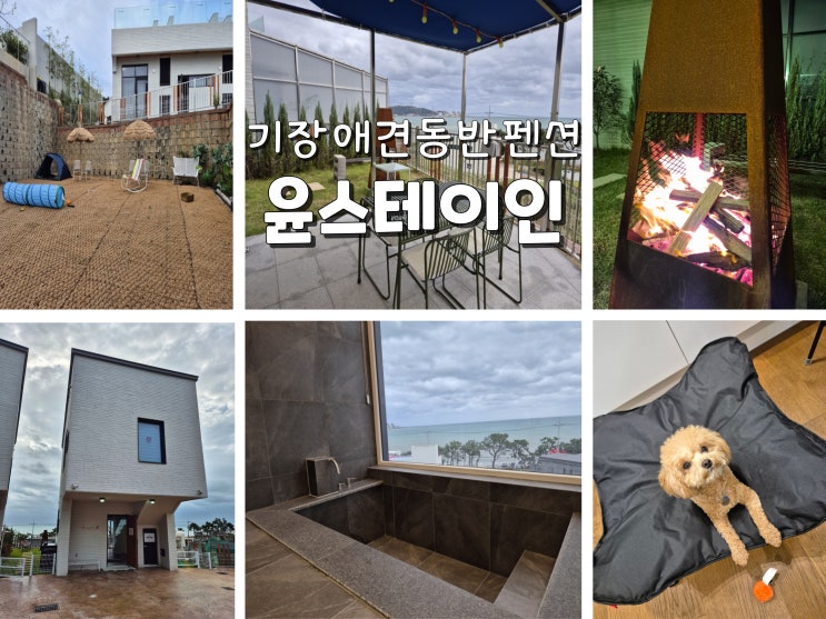  부산기장펜션 부산애견동반펜션 기장펜션추천 윤스테이인 기장