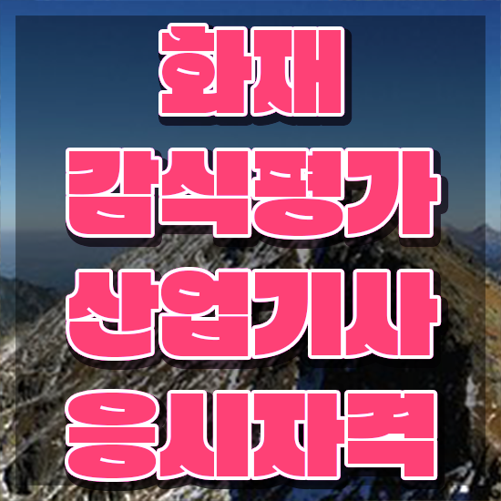  화재감식평가기사 필기 화재감식평가기사 자격요건 온라인으로 간편하게 성공한 후기