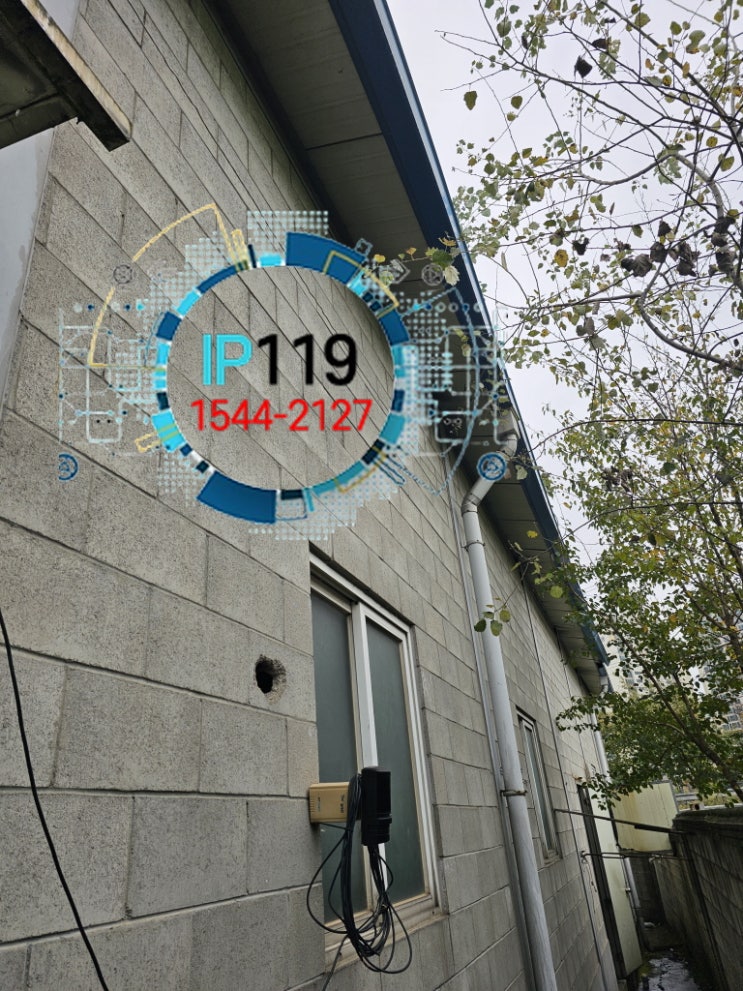  랜공사 다른 건물 외부에서 내부까지 선 넓게 작업하는 사례입니다
