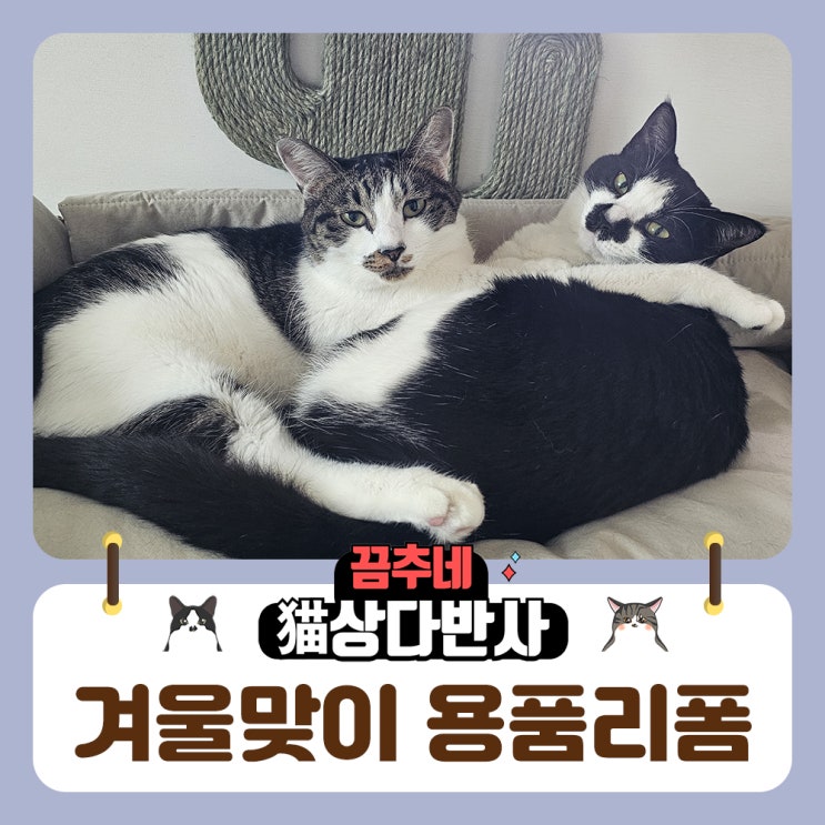  고양이 용품 리폼으로 맞이하는 월동준비