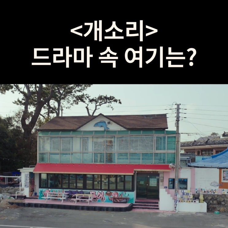  로또 1등 둘러싼 살인사건이 일어나는 문어집은? 간절곶 돌문어 드라마 개소리 촬영지