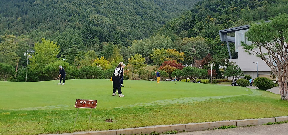 부뚜막꽁보리 사진 1