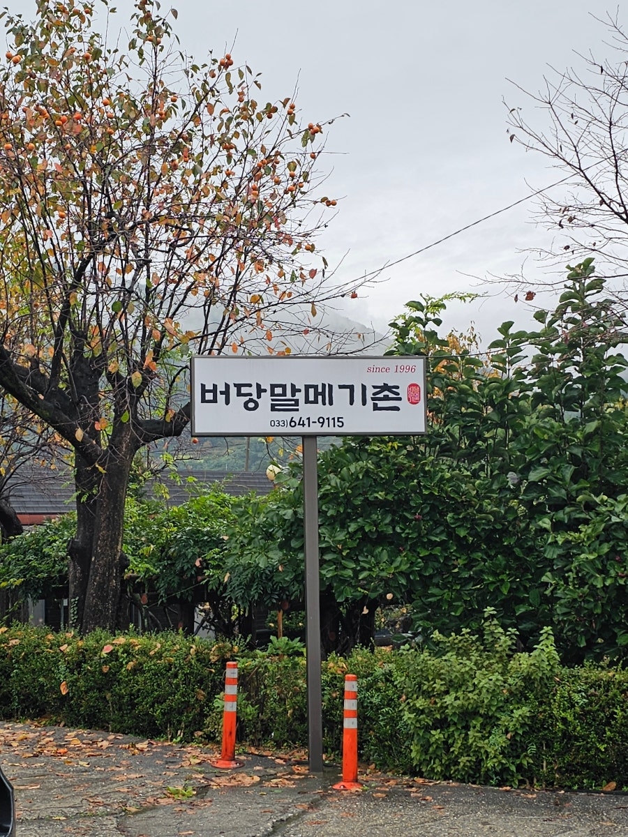 메기촌 사진 2