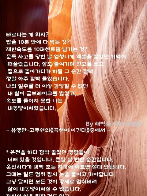 무엇 무엇