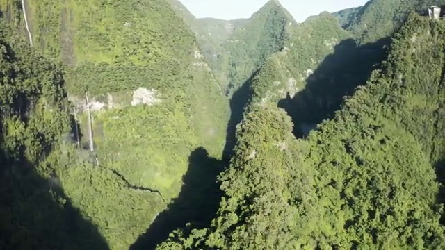  산림 기사교재 , 산림기사 자격요건 인강으로 간편하게 성공한 비법