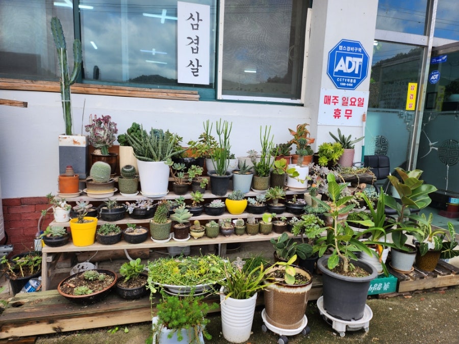 고읍밥집 사진 3