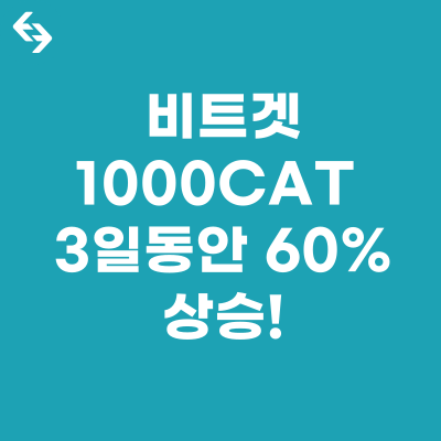  1000CAT 코인, 3일 동안 60% 상승! 어떤 코인이길래?
