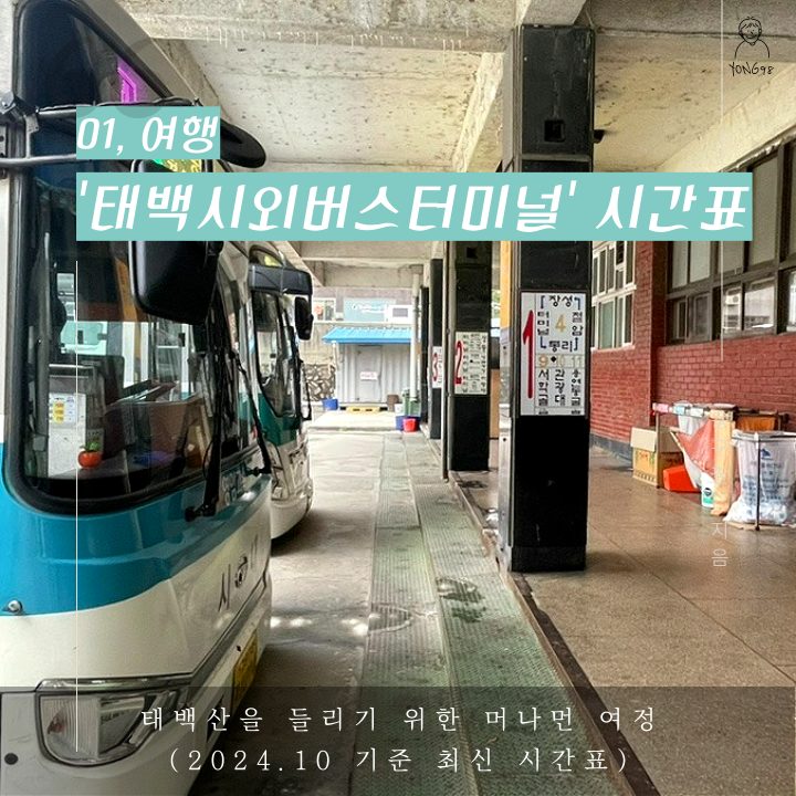 태백시외버스터미널 시간표 | 태백산 대중교통 가는 법 (2024.10기준)