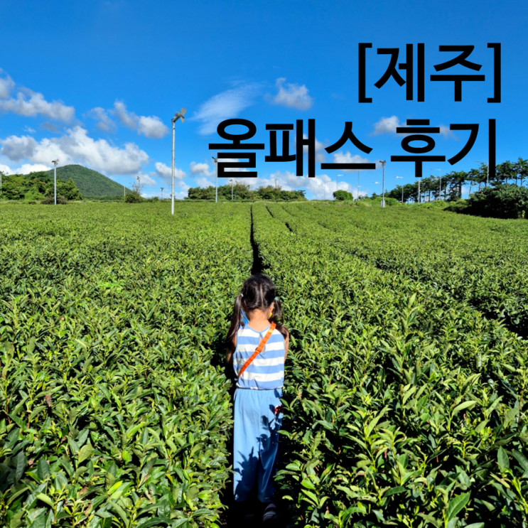  제주 올패스 아이와 24시간 이용 후기 제주도 서쪽 여행 코스